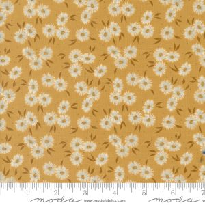 Seaglass Summer fabric: Beach Asters, Sunshine | 