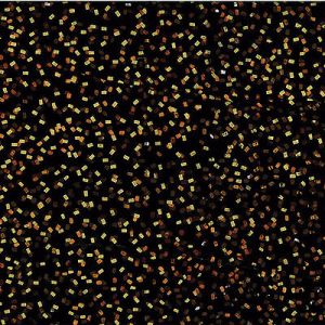 Hoffman Bali Handpaints Metallic Batik Fabric: Confetti Cinnamon/Gold (per 1/4 metre) | 