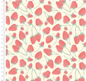 Strawberry Picking Strawberries (per 1/4 metre) | 