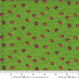 Floral Fabric: Ladybirds Sprout (per 1/4 metre) | 