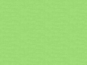 Makower Fabric: Linen Texture Pistachio (per 1/4 metre) | 