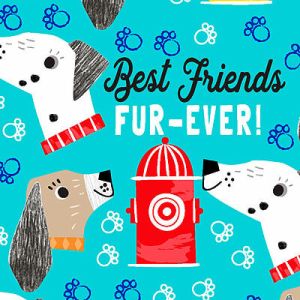 Best Friends FurEver Fabric: Best Friends Turquoise (per 1/4 metre) | 