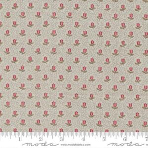 Antoinette fabric: Champagne Smoke | 