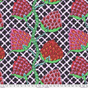 Kaffe Fassett Collective Fabric: Paisley Flower Contrast | 