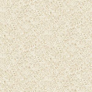 Kasumi fabric: Gilt Cream | 